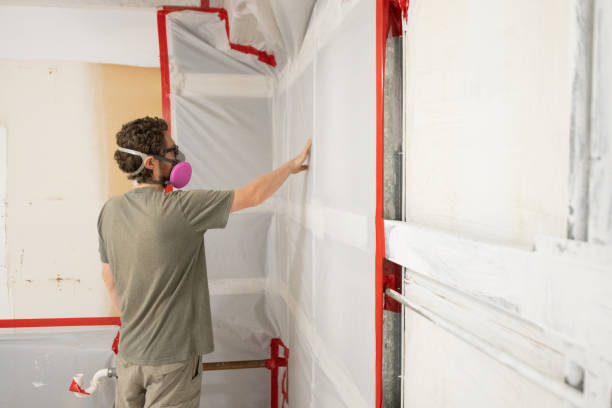 Best Mold Removal for HVAC Installations  in Worthington, MN
