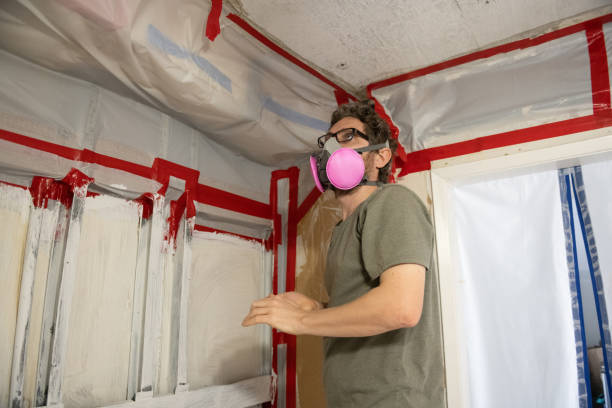 Best Water Damage & Mold Remediation  in Worthington, MN