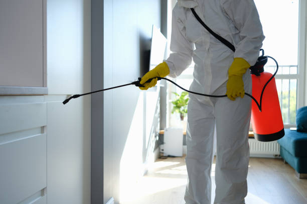 Best HVAC Mold Inspection and Cleaning  in Worthington, MN