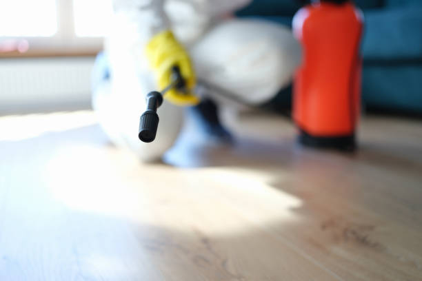 Forensic Mold Investigation in Worthington, MN
