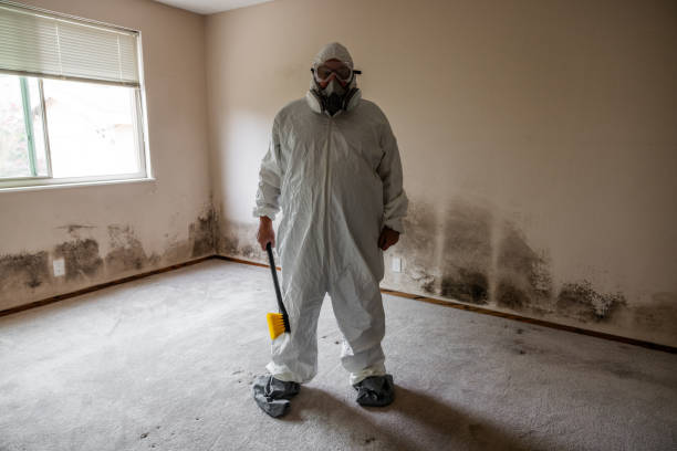 Best Industrial Mold Remediation  in Worthington, MN