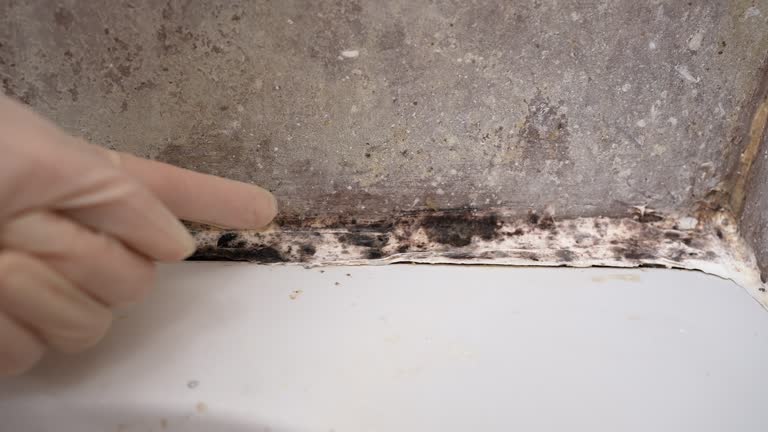 Best Comprehensive Air Testing for Mold Contaminants  in Worthington, MN